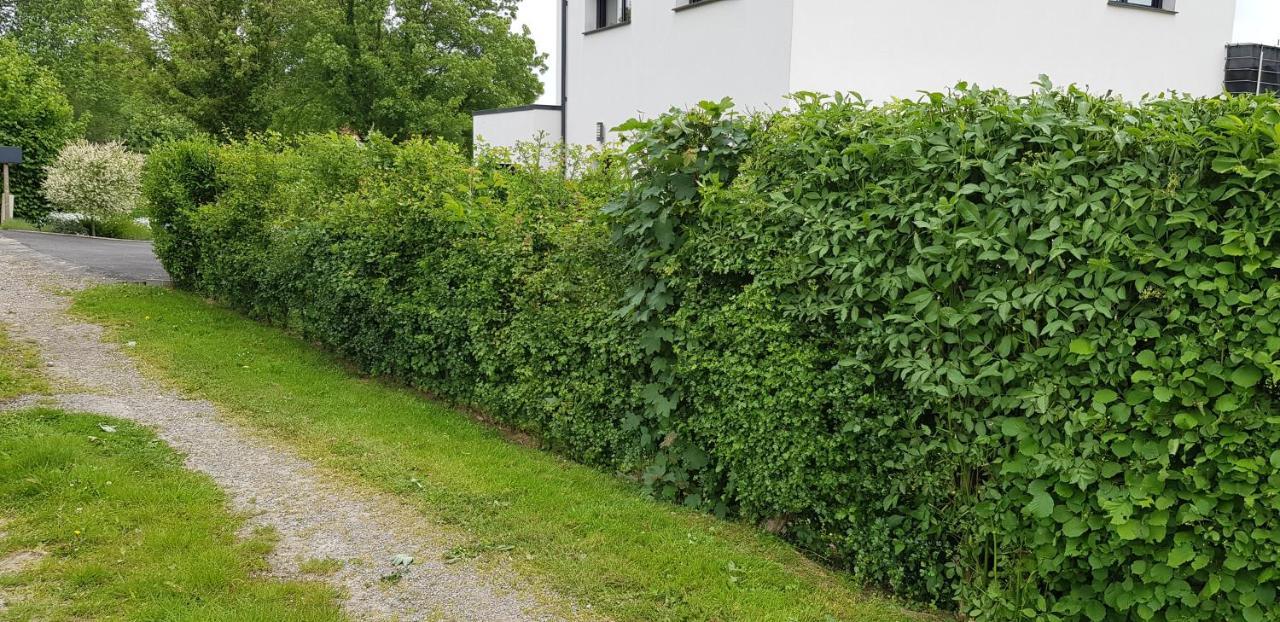 Maison Moderne A La Campagne Bezinghem 외부 사진